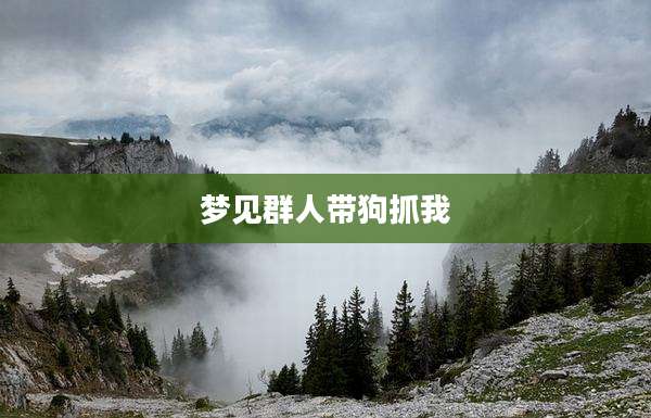 梦见群人带狗抓我