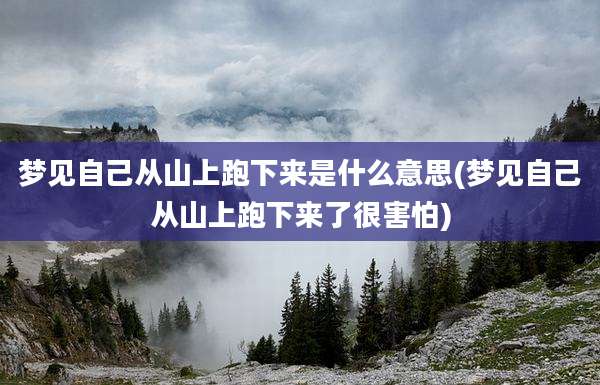 梦见自己从山上跑下来是什么意思(梦见自己从山上跑下来了很害怕)