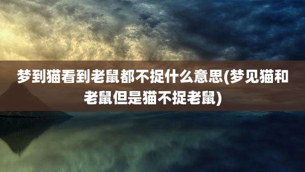 梦到猫看到老鼠都不捉什么意思(梦见猫和老鼠但是猫不捉老鼠)