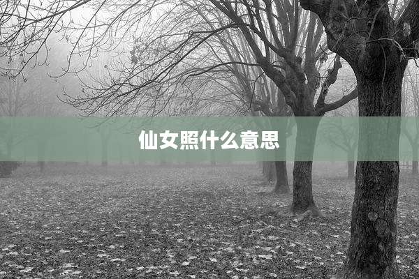 仙女照什么意思