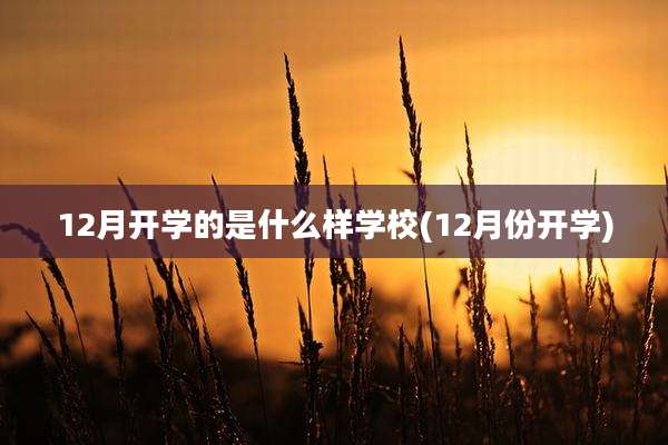 12月开学的是什么样学校(12月份开学)