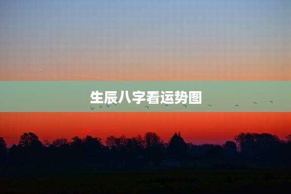 生辰八字看运势图