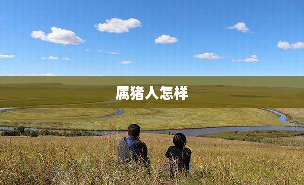 属猪人怎样