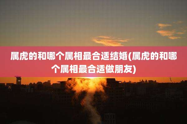 属虎的和哪个属相最合适结婚(属虎的和哪个属相最合适做朋友)