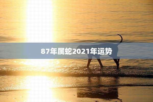 87年属蛇2021年运势