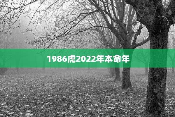 1986虎2022年本命年