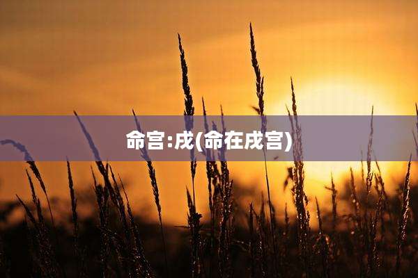 命宫:戌(命在戌宫)