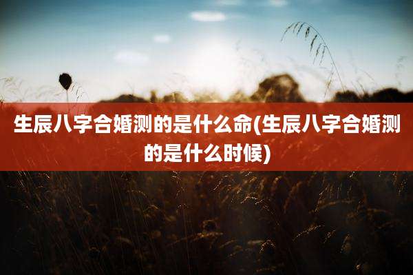 生辰八字合婚测的是什么命(生辰八字合婚测的是什么时候)