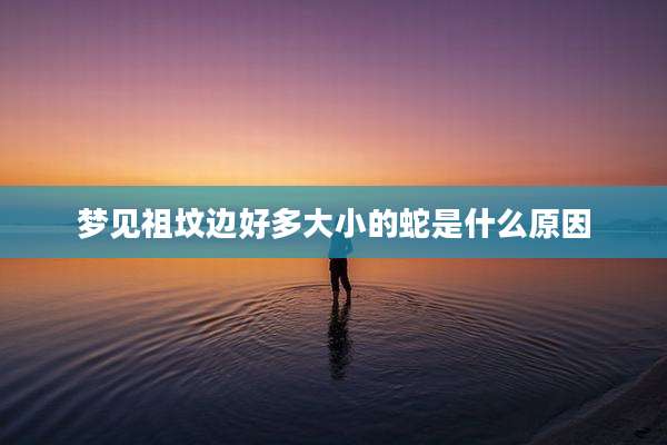 梦见祖坟边好多大小的蛇是什么原因