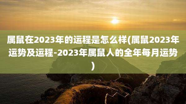 属鼠在2023年的运程是怎么样(属鼠2023年运势及运程-2023年属鼠人的全年每月运势)