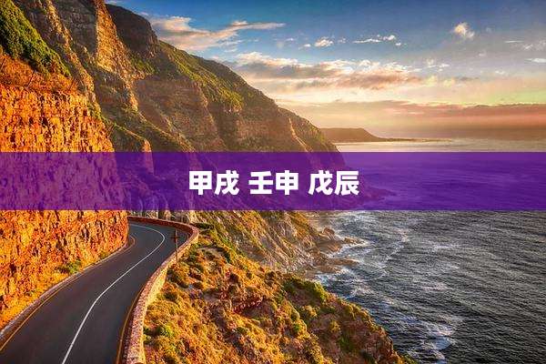 甲戌 壬申 戊辰