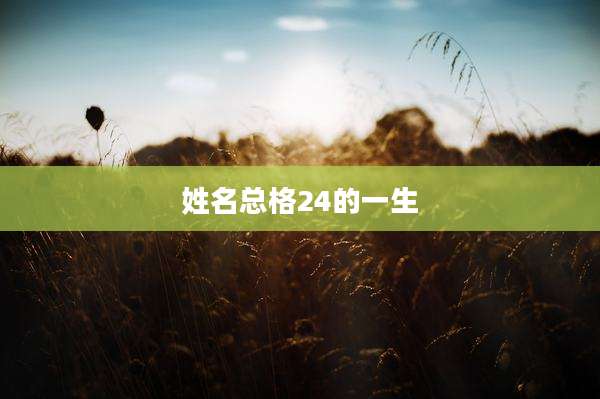 姓名总格24的一生