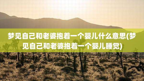 梦见自己和老婆抱着一个婴儿什么意思(梦见自己和老婆抱着一个婴儿睡觉)