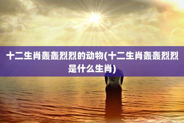 十二生肖轰轰烈烈的动物(十二生肖轰轰烈烈是什么生肖)