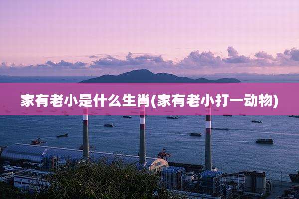 家有老小是什么生肖(家有老小打一动物)