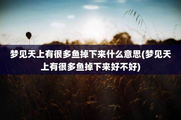 梦见天上有很多鱼掉下来什么意思(梦见天上有很多鱼掉下来好不好)