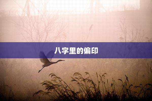 八字里的偏印
