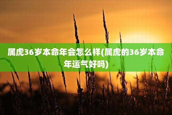 属虎36岁本命年会怎么样(属虎的36岁本命年运气好吗)