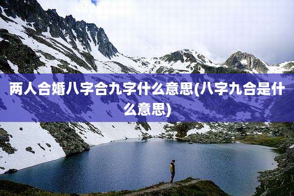 两人合婚八字合九字什么意思(八字九合是什么意思)