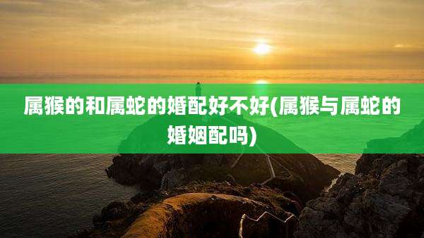 属猴的和属蛇的婚配好不好(属猴与属蛇的婚姻配吗)
