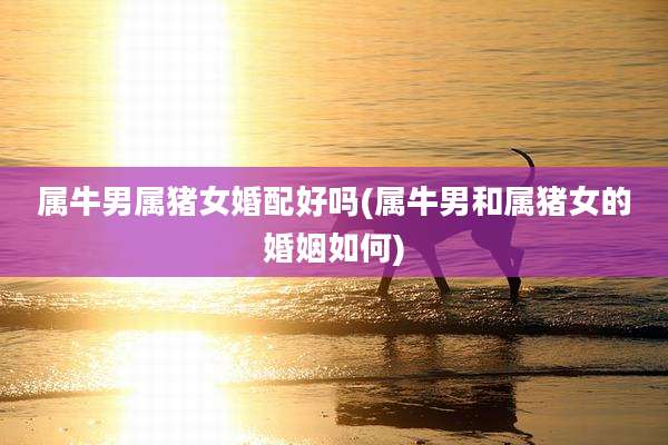 属牛男属猪女婚配好吗(属牛男和属猪女的婚姻如何)
