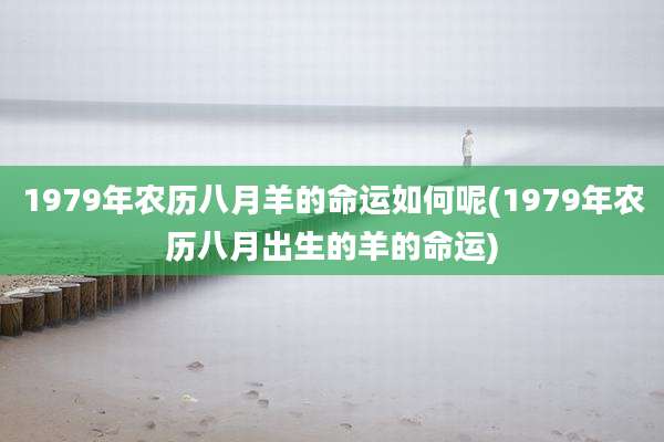 1979年农历八月羊的命运如何呢(1979年农历八月出生的羊的命运)