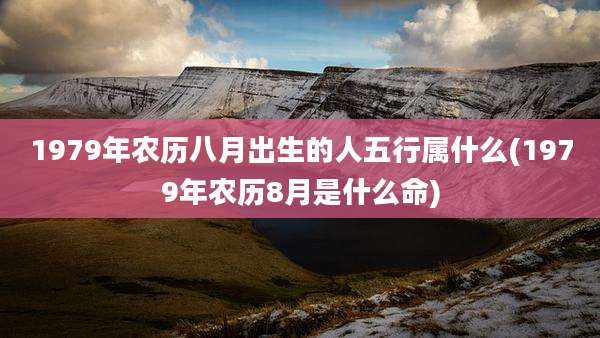 1979年农历八月出生的人五行属什么(1979年农历8月是什么命)
