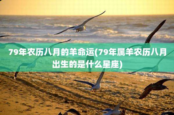 79年农历八月的羊命运(79年属羊农历八月出生的是什么星座)