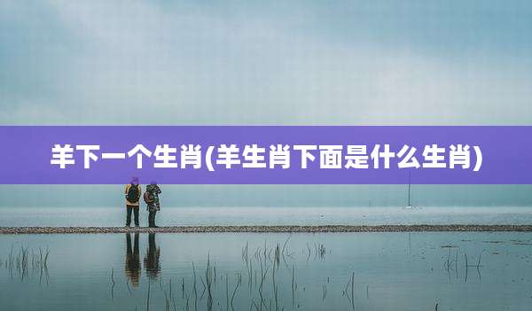 羊下一个生肖(羊生肖下面是什么生肖)