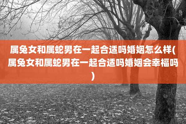 属兔女和属蛇男在一起合适吗婚姻怎么样(属兔女和属蛇男在一起合适吗婚姻会幸福吗)