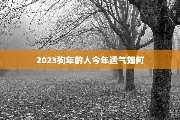2023狗年的人今年运气如何