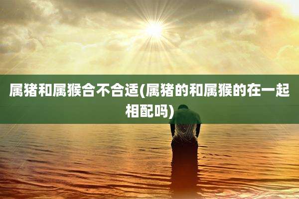 属猪和属猴合不合适(属猪的和属猴的在一起相配吗)