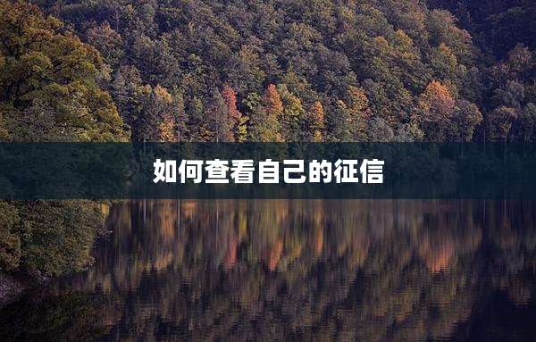 如何查看自己的征信