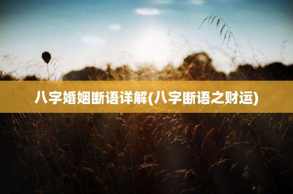 八字婚姻断语详解(八字断语之财运)