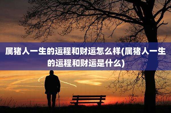 属猪人一生的运程和财运怎么样(属猪人一生的运程和财运是什么)