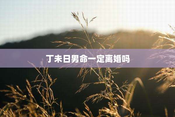 丁未日男命一定离婚吗