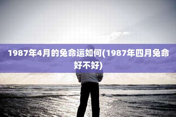 1987年4月的兔命运如何(1987年四月兔命好不好)
