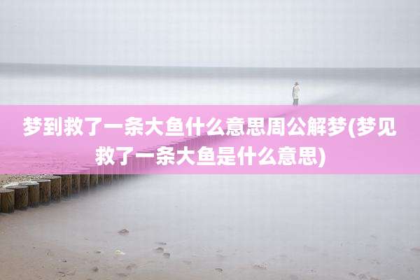 梦到救了一条大鱼什么意思周公解梦(梦见救了一条大鱼是什么意思)
