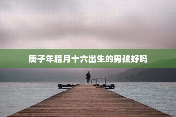 庚子年腊月十六出生的男孩好吗