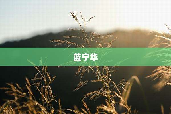 蓝宁华