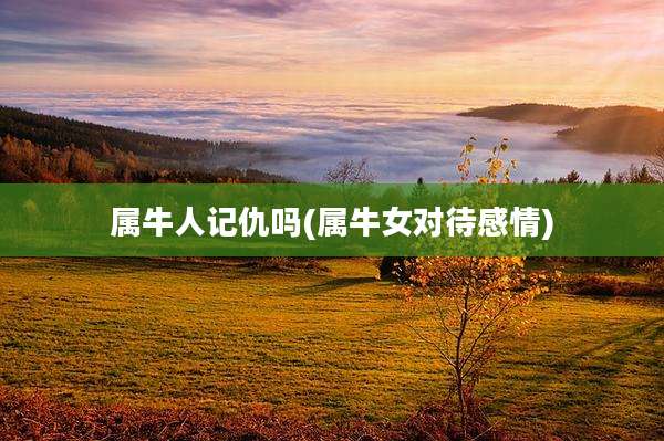 属牛人记仇吗(属牛女对待感情)