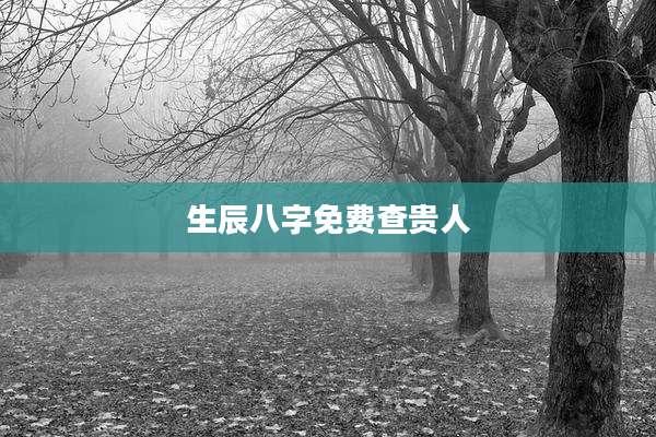 生辰八字免费查贵人