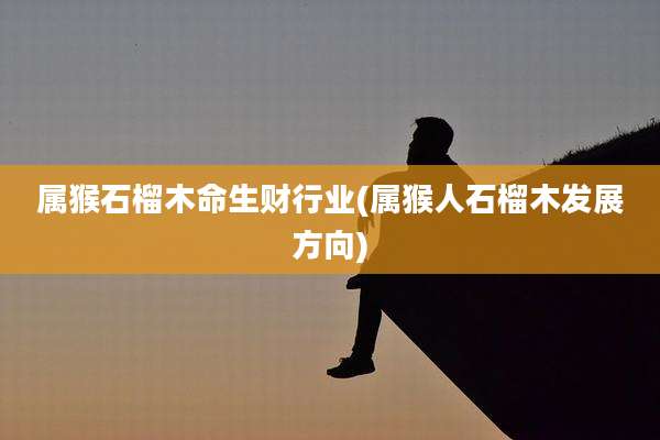 属猴石榴木命生财行业(属猴人石榴木发展方向)