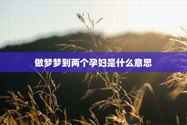 做梦梦到两个孕妇是什么意思