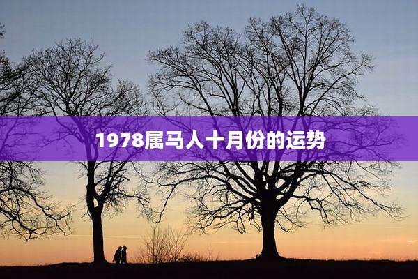 1978属马人十月份的运势