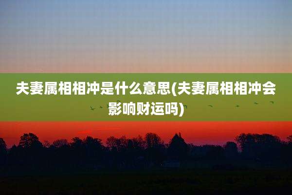 夫妻属相相冲是什么意思(夫妻属相相冲会影响财运吗)