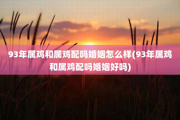 93年属鸡和属鸡配吗婚姻怎么样(93年属鸡和属鸡配吗婚姻好吗)