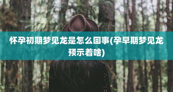怀孕初期梦见龙是怎么回事(孕早期梦见龙预示着啥)
