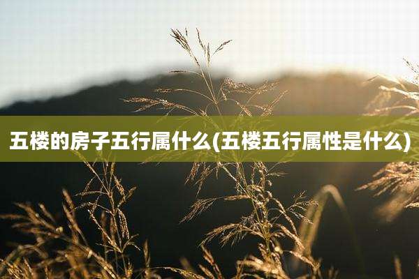五楼的房子五行属什么(五楼五行属性是什么)