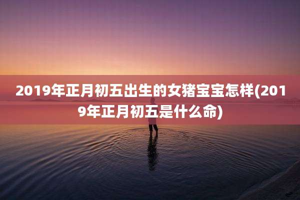 2019年正月初五出生的女猪宝宝怎样(2019年正月初五是什么命)